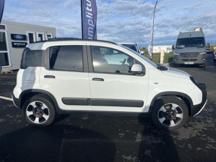 FIAT Panda 1.0 70ch BSG S&S  Cross à vendre à Châteauroux - Image n°4