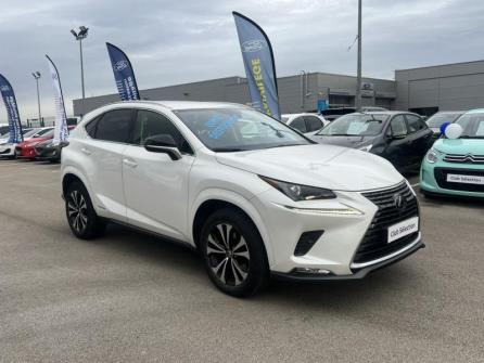 LEXUS NX 300h 2WD Design MY21 à vendre à Dijon - Image n°3